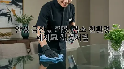 안성 금산동 카펫 청소: 친환경 세제로 새것처럼!