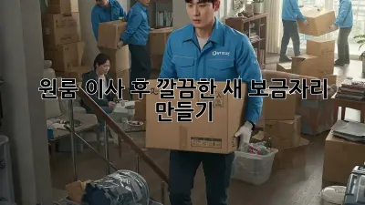 원룸 이사 후, 깔끔한 새 보금자리 만들기